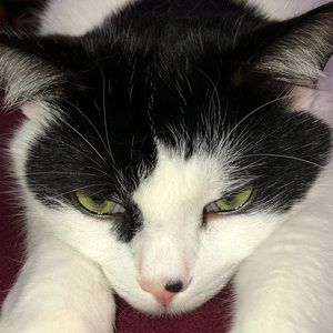 Meet your Posher, Hailey